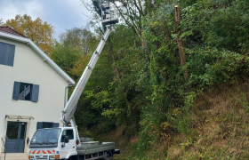 Travaux d’élagage et d’abattage à Monein