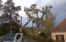 Élagage d’un grand arbre avec nacelle à Orthez 64